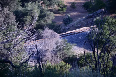 DSC_2101 (Large).JPG